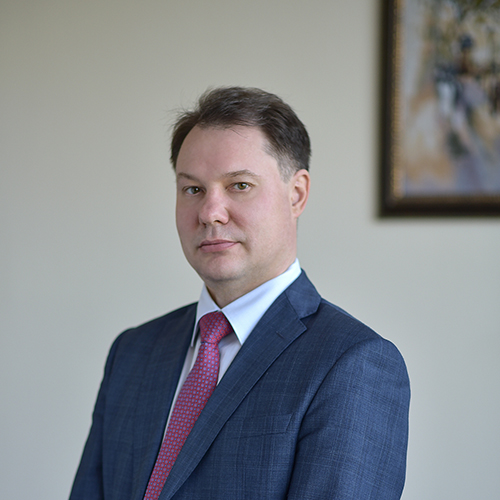 Изображение Никитин Дмитрий Анатольевич